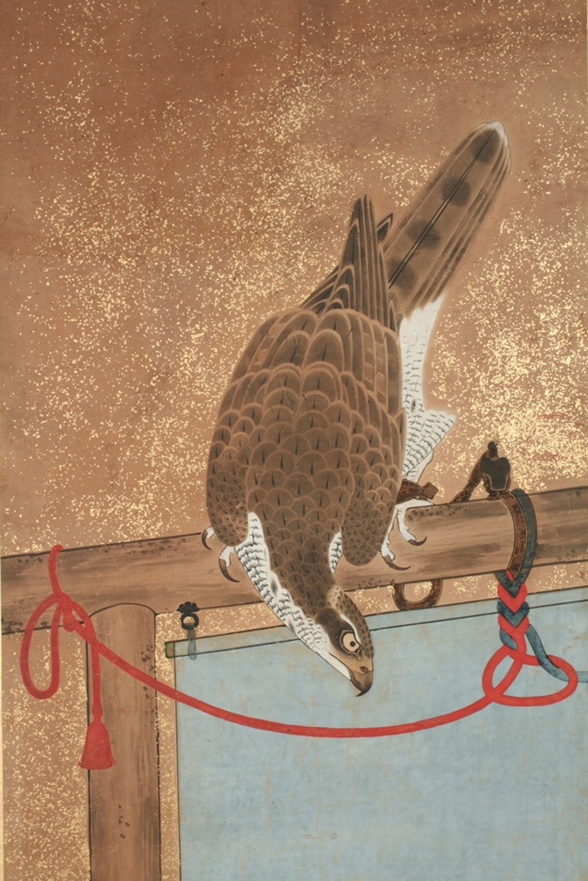 Falcon Screen